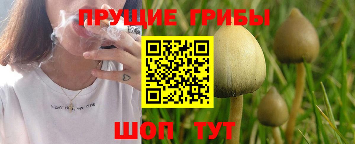 Благодарный  Псилоцибиновые грибы мицелий  Псилоцибиновые грибы Magic Shrooms  Вход с VPN 