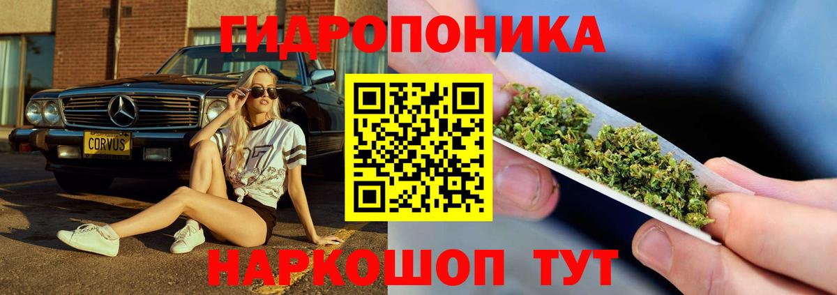 Каннабис план Благодарный